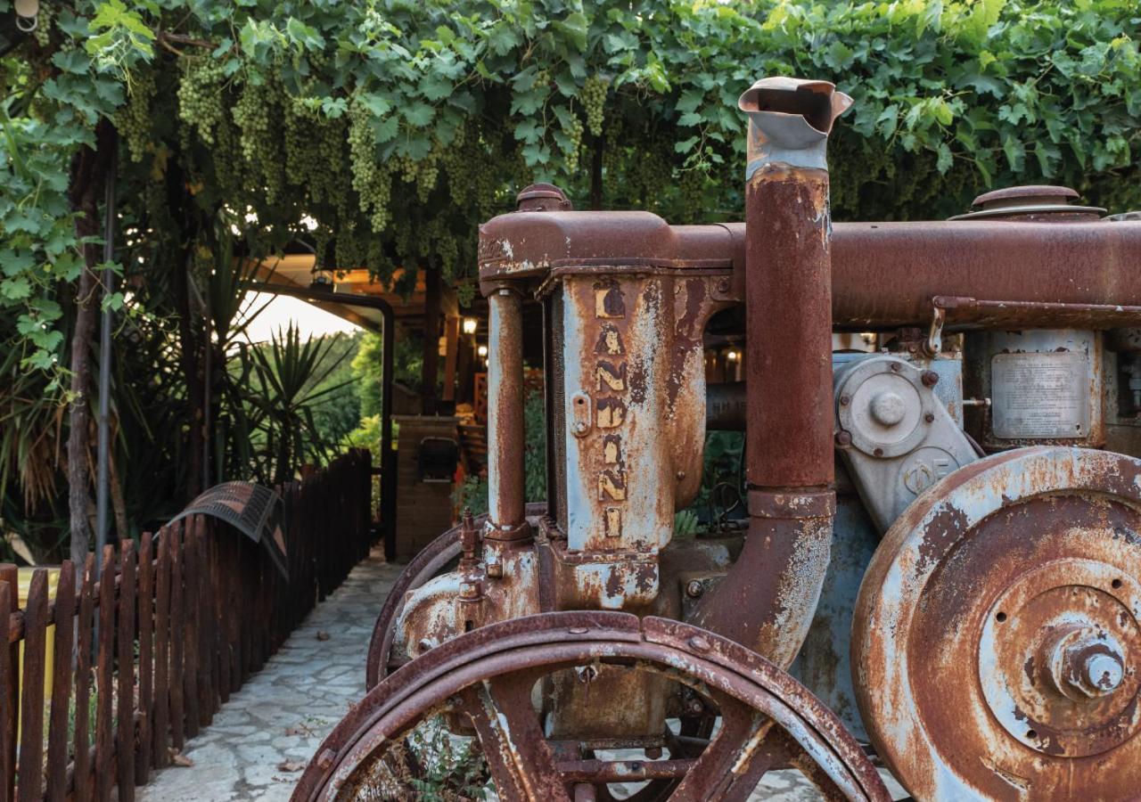 Il Sorgituro - Agriturismo Postiglione Exteriér fotografie