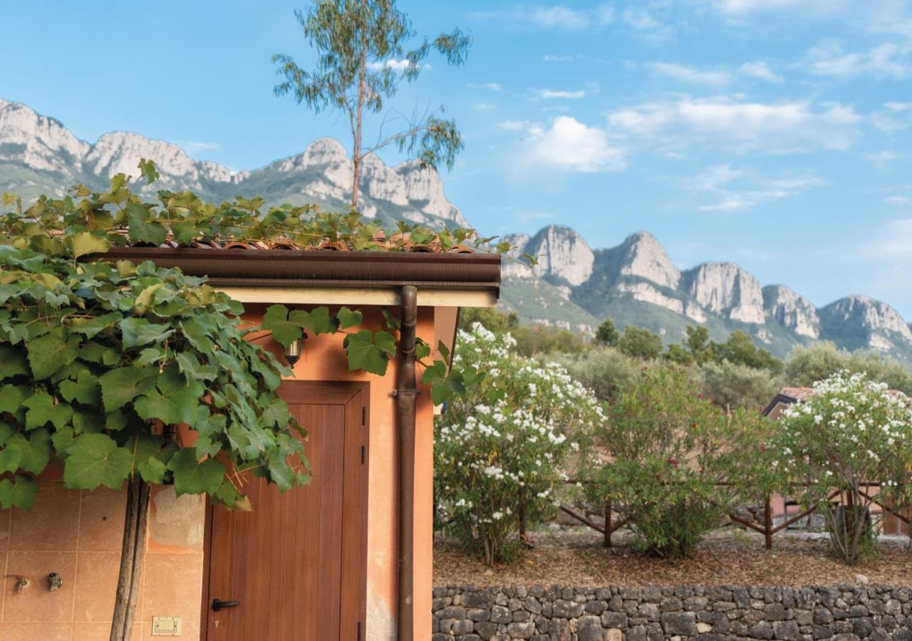 Il Sorgituro - Agriturismo Postiglione Exteriér fotografie