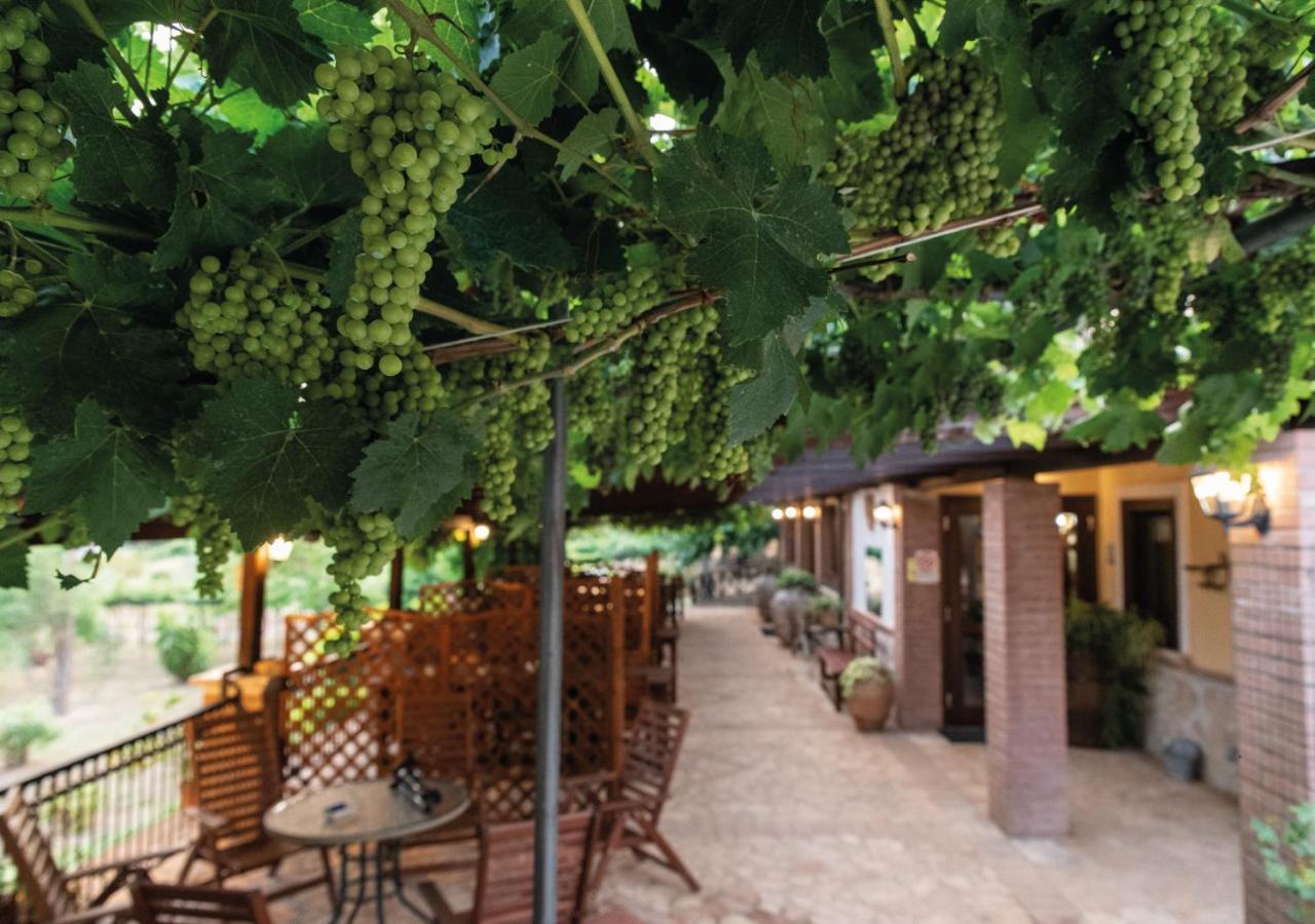 Il Sorgituro - Agriturismo Postiglione Exteriér fotografie
