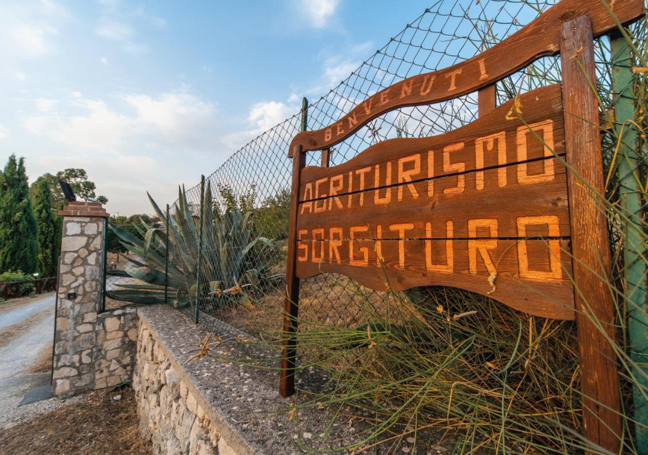 Il Sorgituro - Agriturismo Postiglione Exteriér fotografie